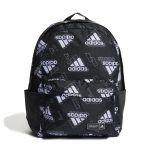 Classic Graphic Backpack