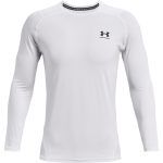 UA HG Armour Fitted LS